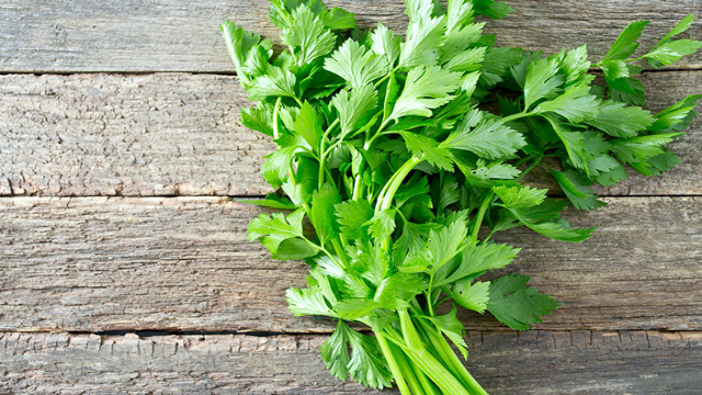 10 Manfaat Daun Seledri untuk Kesehatan
